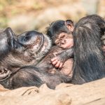 Ku munsi mpuzamahanga w’ababyeyi, AWF yatanze ubutumwa bw’umwihariko